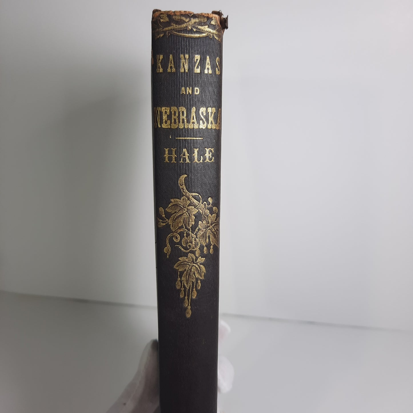 1854 New England Emigrants Account & Guide to Kanzas & Nebraska Territories, Edward Hale, with map, 1st Edition (Kansas)